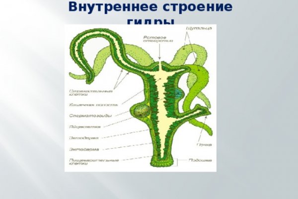 Кракен сайт для наркоманов